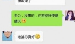 班级爆料搞笑段子视频大全,搞笑段子视频大全，笑点满满，欢乐无限！